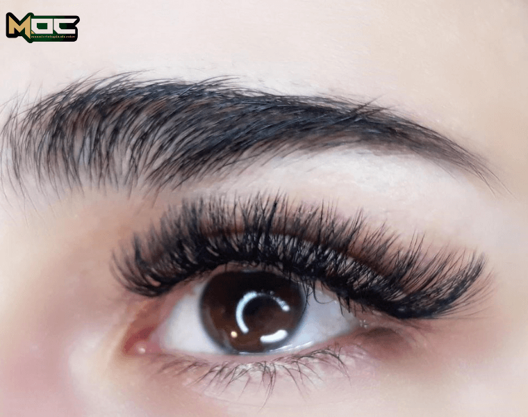 مراقبت از چشم در هنگام استفاده از اکستنشن مژه